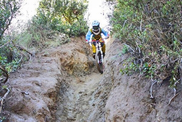 велосипеды mtb что это такое. Смотреть фото велосипеды mtb что это такое. Смотреть картинку велосипеды mtb что это такое. Картинка про велосипеды mtb что это такое. Фото велосипеды mtb что это такое